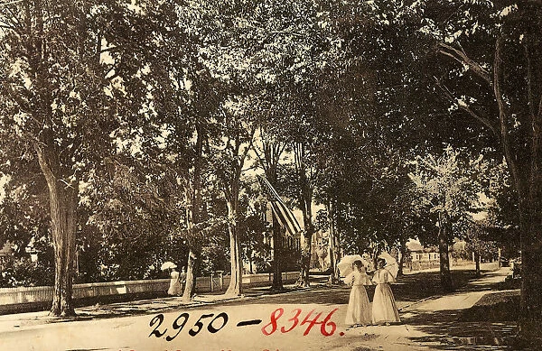 Avenues United States Flags California Napa 1906