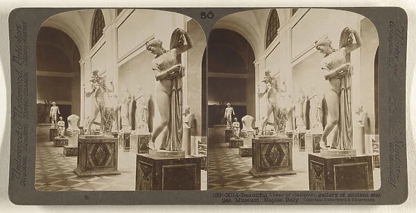 Beautiful Venus Gallipede gallery ancient statues