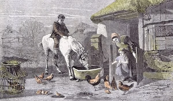cage, poultry, chicken, poultry, chicken, 19th century, farm, chicks, children, crumbled wall