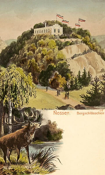 Castles Nossen Paintings Saxony Flags Multiview postcards