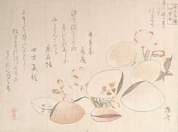 Cherry Blossoms Shells Edo period 1615-1868