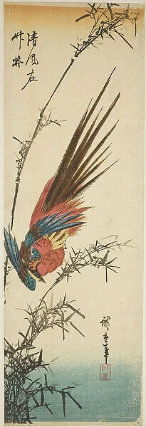 Copper Pheasant Bamboo 1840s Utagawa Hiroshige 歌川 広重