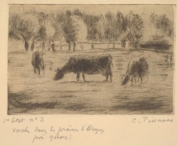 Cows Fields Eragny Gisors 1888 Drypoint laid paper