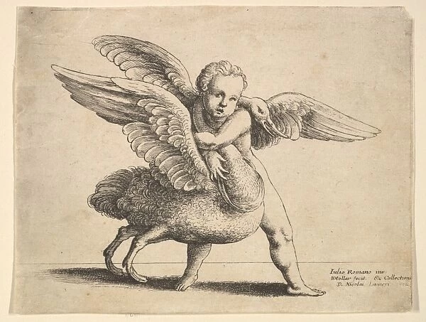 Cupid swan 1652 Etching state Sheet 4 3  /  8 5 5  /  8