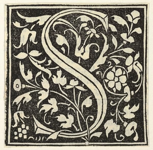 Drawings Prints, Print, Initial letter S, Artist, Italian, 15th century, 1400, 1500, ca
