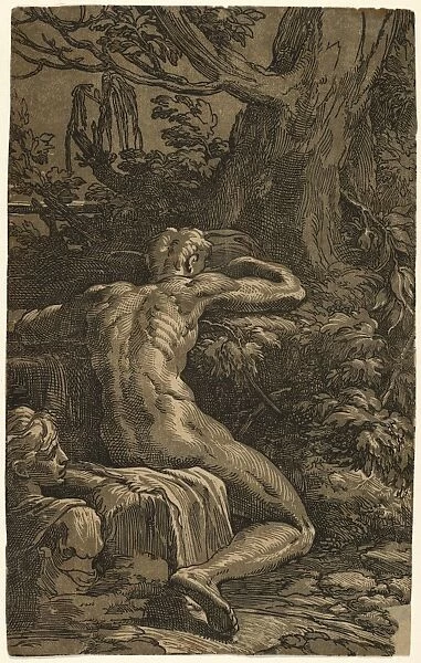 Drawings Prints, Print, Narcissus, Man Seated Back, Artist, Antonio da Trento, Parmigianino