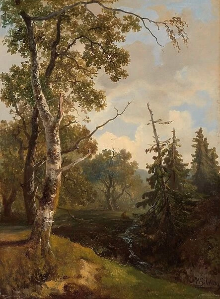 Forest scene near Wolfheze, The Netherlands, Johannes Warnardus Bilders, 1860 - 1890