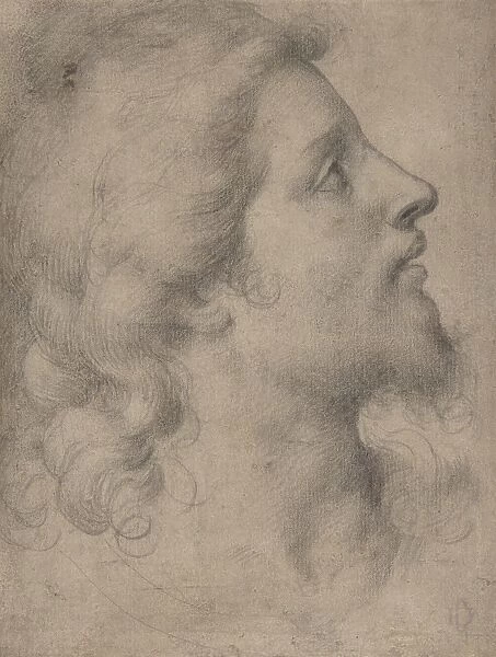 Head Bearded Young Man Profile Facing Right 1545-55