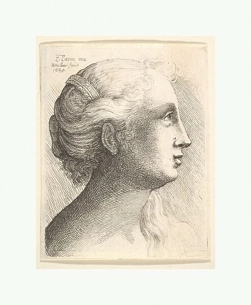 Head young woman profile right 1645 Etching state