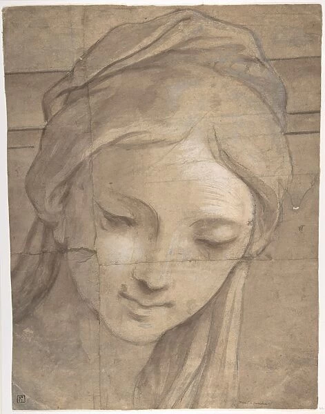 Head Young Woman Three-Quarter View Facing Left