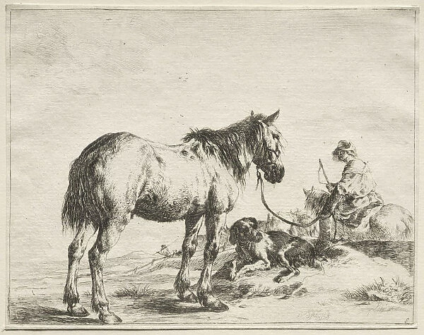 Horse Fastened Stake Dirck Stoop Dutch 1618-1681