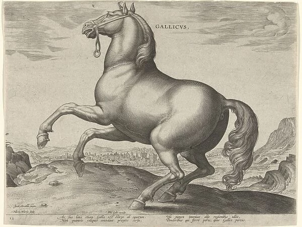 Horse from France, Gallicus, print maker: Hieronymus Wierix, Jan van der Straet, Philips Galle