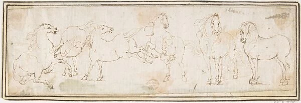 Six Horses 1624-63 Pen brown ink Framing lines