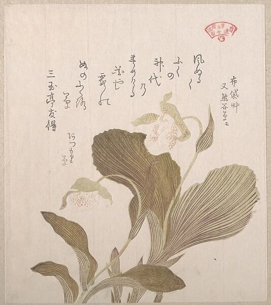 Hotei Flowers 19th century Japan Part album woodblock prints