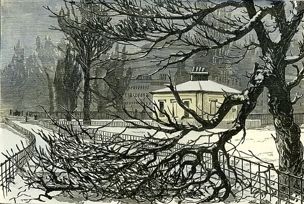 kensington gardens, london, 1887, damage, trees, queens gate, vintage, old print