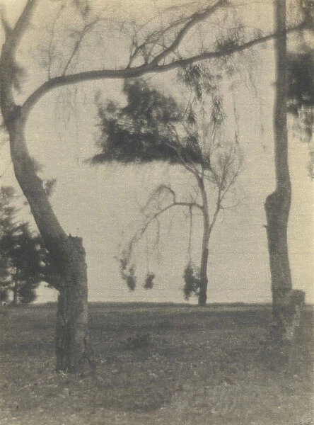 Landscape Trees Louis Fleckenstein American 1866