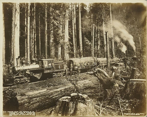 Logging Train Donkeys Wonderful Woods Washington