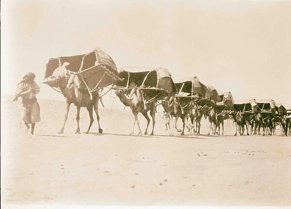 Mecca ca 1910 Camel caravan pilgrims Saudi Arabia