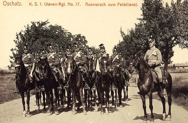Military horses Avenues Saxony 1912 Landkreis Nordsachsen
