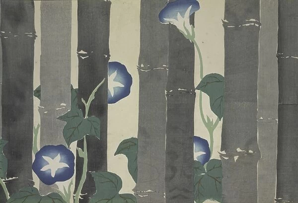 Momoyogusa = Flowers of a Hundred Generations. Kamisaka, Sekka, (Artist), Date Issued
