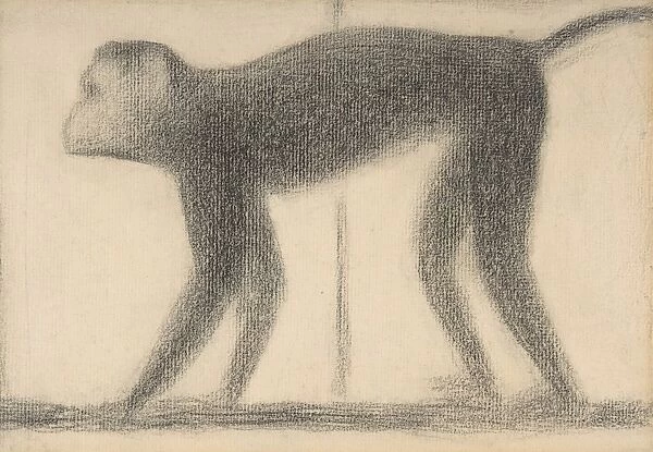 Monkey 1884 Conte crayon 12 1  /  4 x 9 3  /  8 31. 1 23. 9 cm