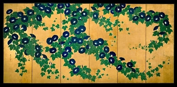 Morning Glories µ£ØÚíöÕø│Õ▒ÅÚó¿ Edo period 1615-1868