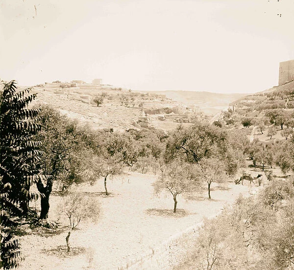 Mount Olives Jebel Et-Tur Valley Jehosaphat 1898