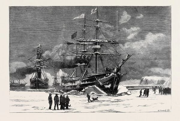 The Newfoundland Seal Fisheries, the Dundee Fleet Forcing its Way through the Ice into St