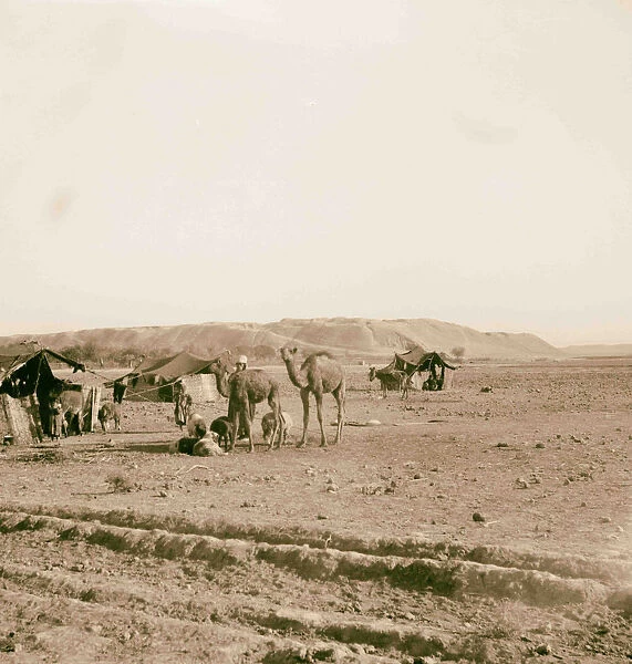Nineveh Glory Kingdoms Bedouin encampment mounds