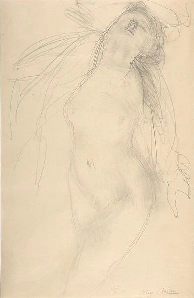 Nude female figure reclining side n. d Graphite