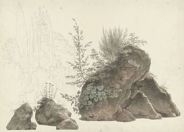 Overgrown Rocks Drawing group 46 drawings studies