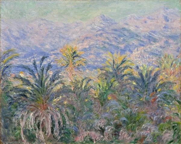 Palm Trees Bordighera 1884 Oil canvas 25 1  /  2 x 32in