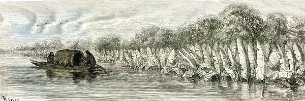peru, south America, 1869, ucayali, waterway, stream, river, waterway, stream, river