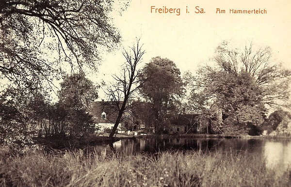 Ponds Landkreis Mittelsachsen Buildings Freiberg