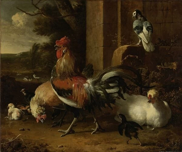Poultry Yard, Melchior d Hondecoeter, c. 1660 - c. 1665