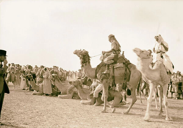 Race meeting horse camel Beersheba Camels paraded