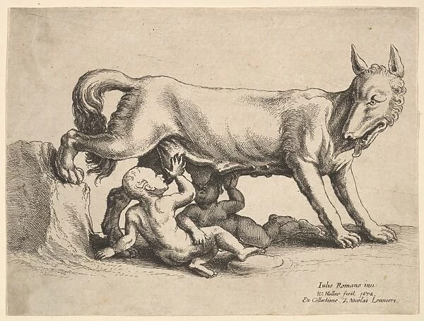 Romulus Remus 1652 Etching state Sheet 4 5  /  16