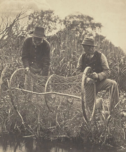 Setting Up Bow-Net Peter Henry Emerson British