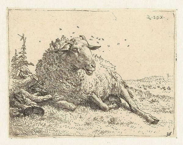 Sheep tree trunk sheep Karel du Jardin mentioned