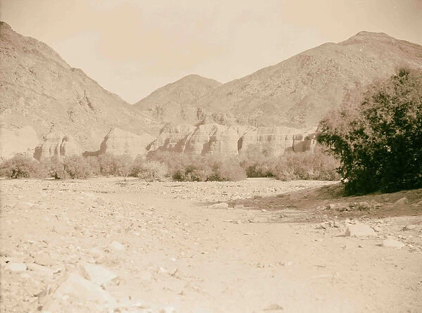 Sinai car Wadi Feiran Holms valley 1920 Egypt