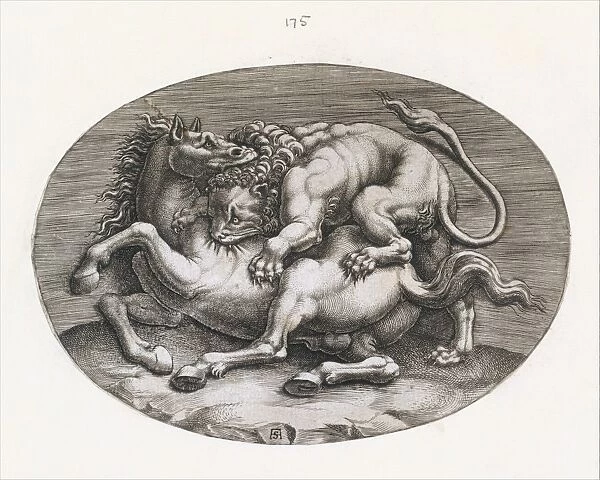 Speculum Romanae Magnificentiae Lion Attacking