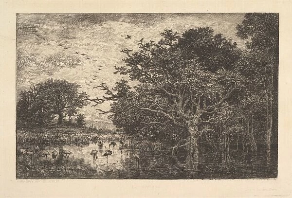 Swans Marsh 1851 Etching laid paper fifth sixth states