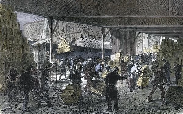 Tea ships in 1867