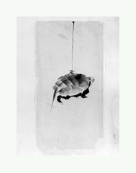 Tortoise Suspended String Edo period 1615-1868
