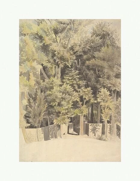 Trees Entrance Park 1748-84 Graphite brush