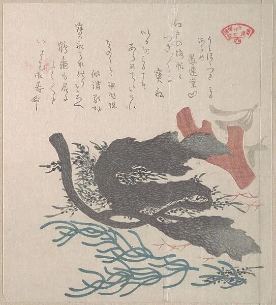 Various Seaweed 19th century Japan Part album