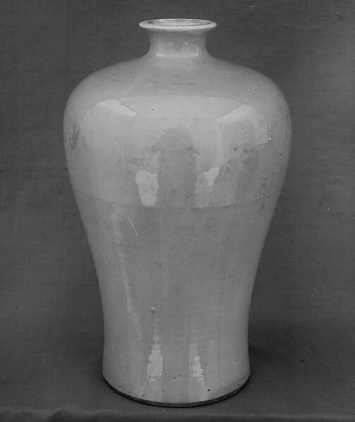 Vase Meiping Shape Qing dynasty 1644-1911 Kangxi period