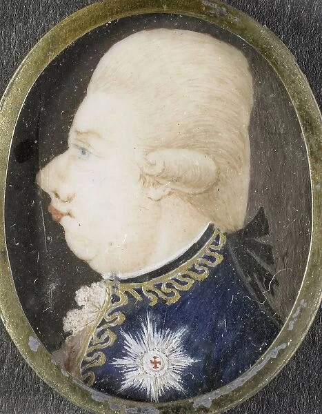 William V 1748-1806 Prince Orange-Nassau Portrait