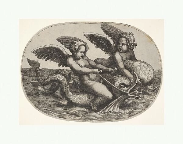 Two winged putti riding parallel dolphins water surface