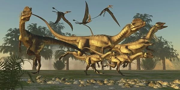 A pack of Dilophosaurus dinosaurs hunting for prey